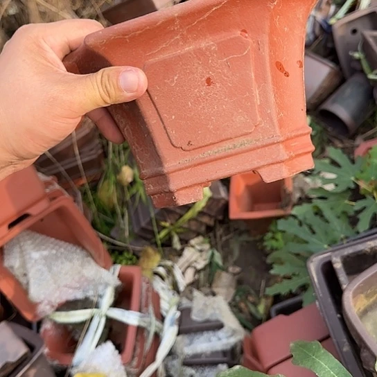 不用急哈就能来拿东西给她啦你