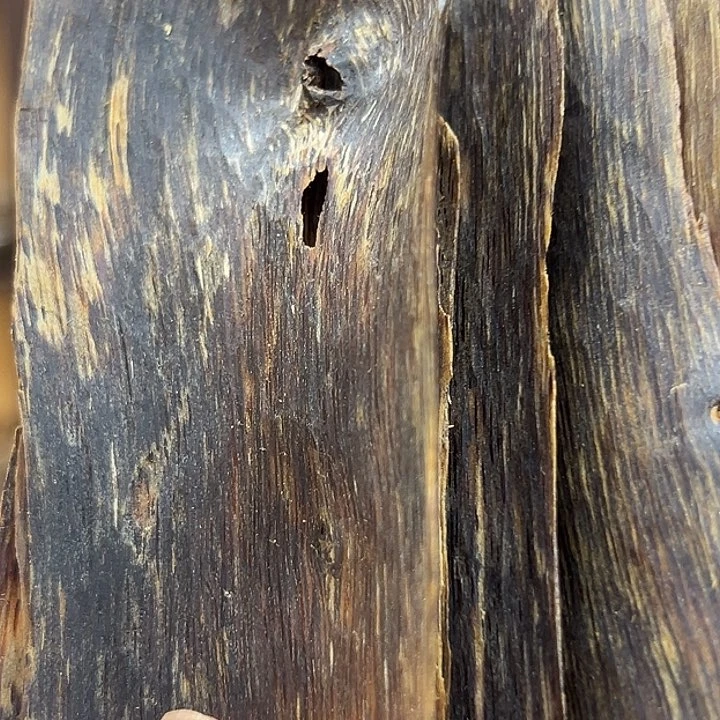 z***g沉香碎屑沉香国香奇楠沉水皮油52g