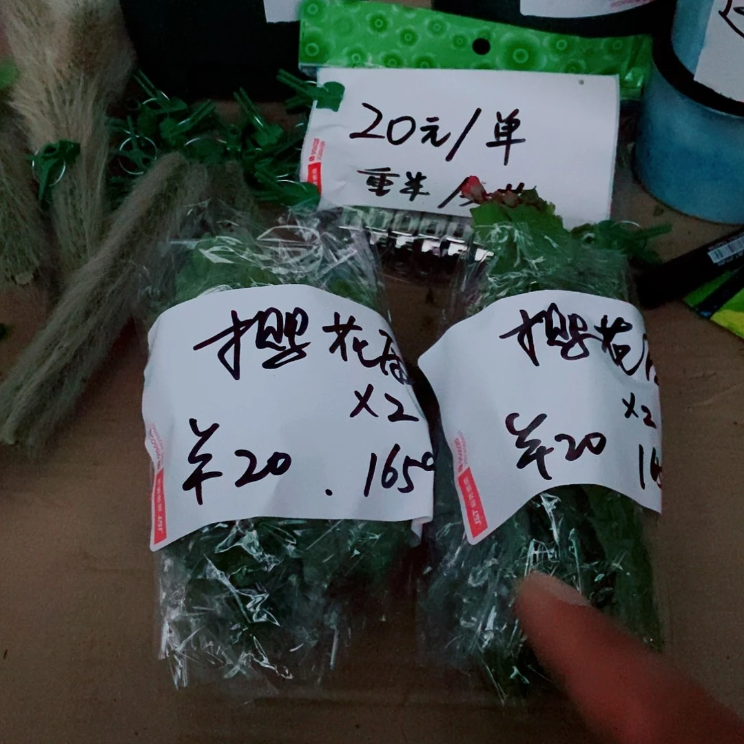 樱****无花朵叶片福利一物一拍