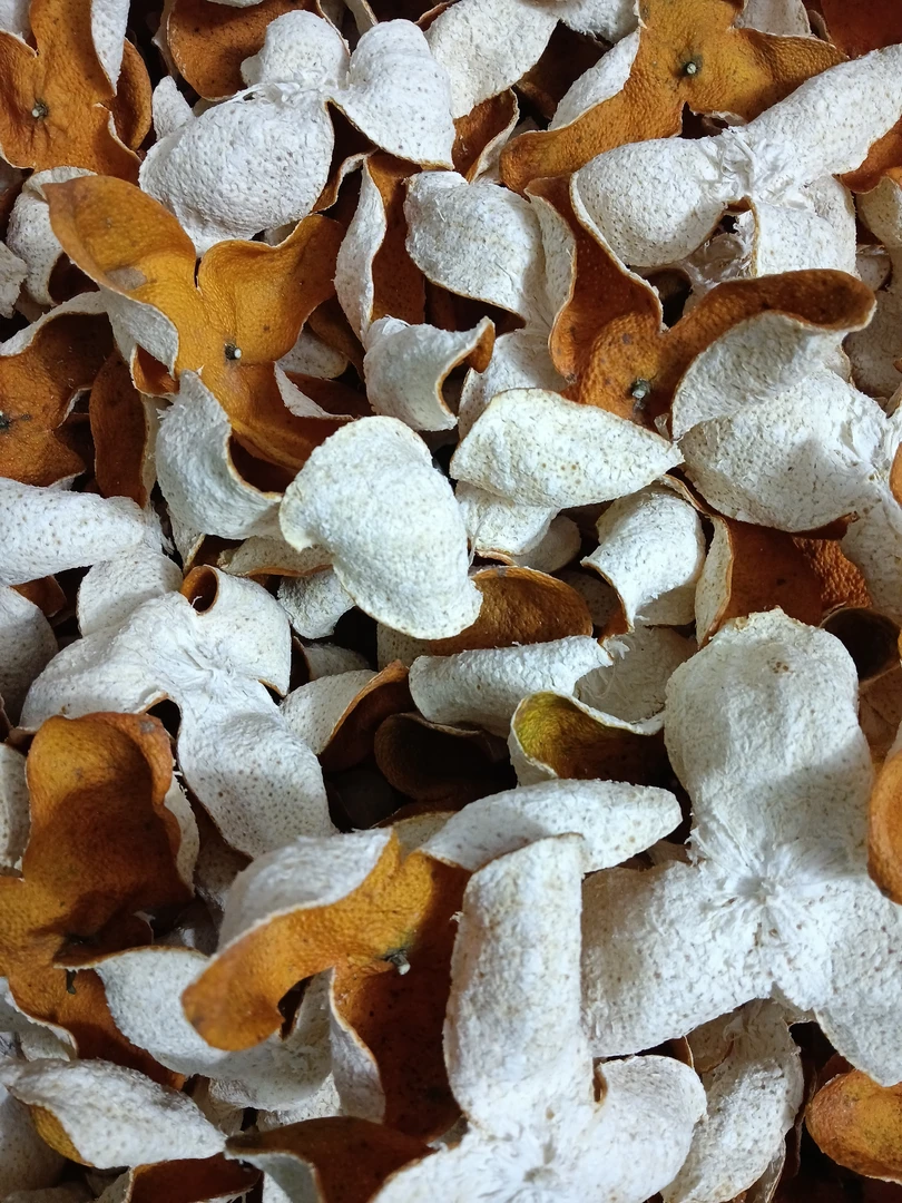 2024年茶枝柑大果大红皮（自然生晒）