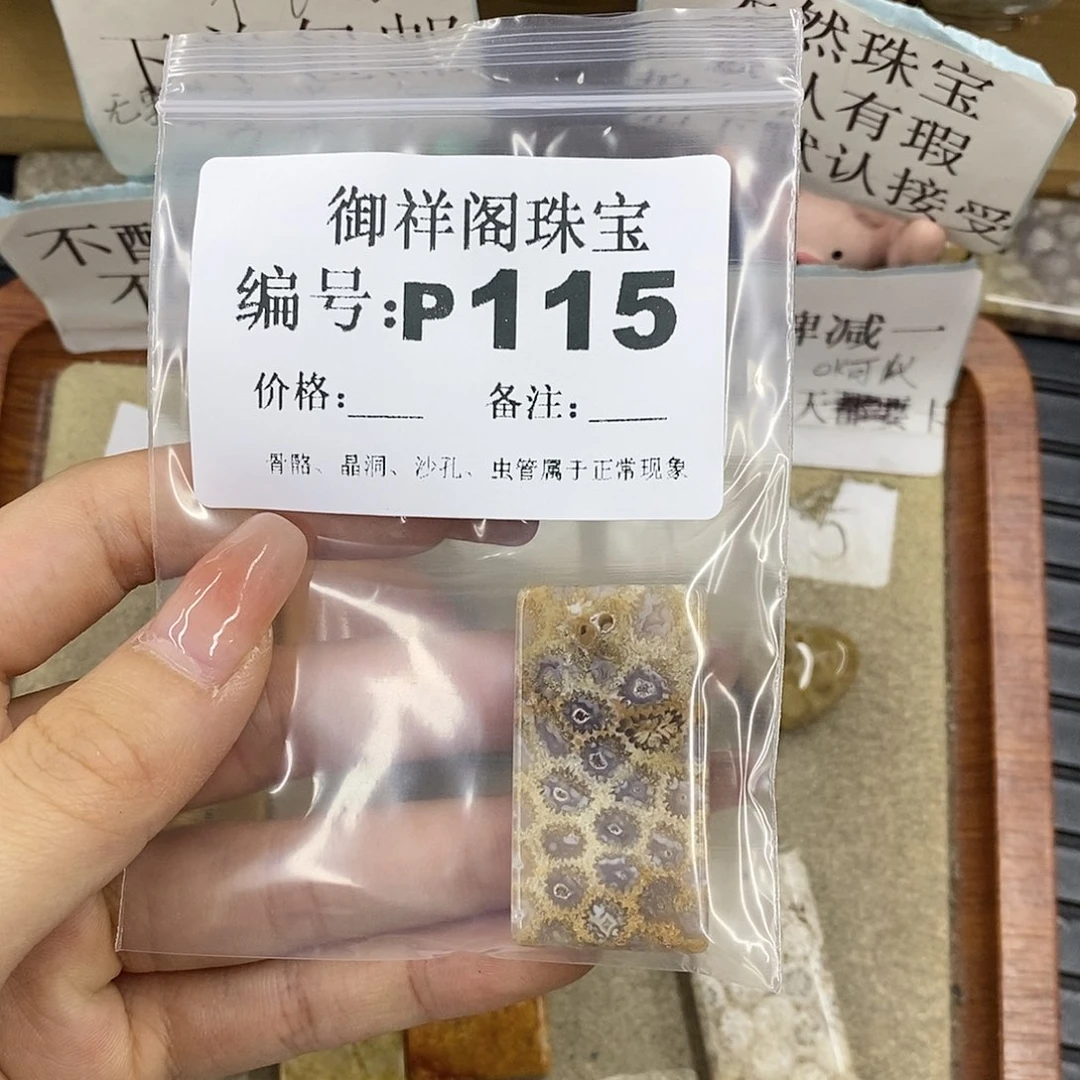 硅化珊瑚（珊瑚玉）未镶嵌颈饰靖*月