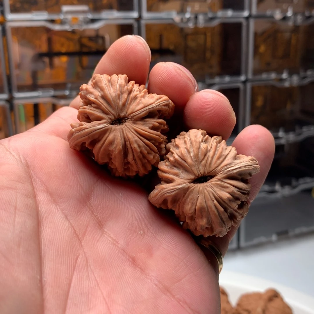 桃核把件石*貔四座楼 666888