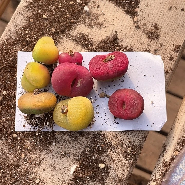 晶***了2117。     一组。