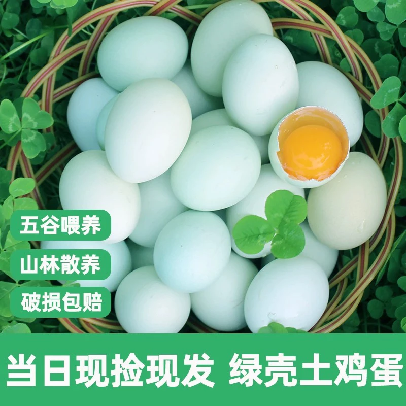 【50枚/绿壳鸡蛋】正宗新鲜土鸡蛋散养农家笨鸡蛋五谷蛋营养