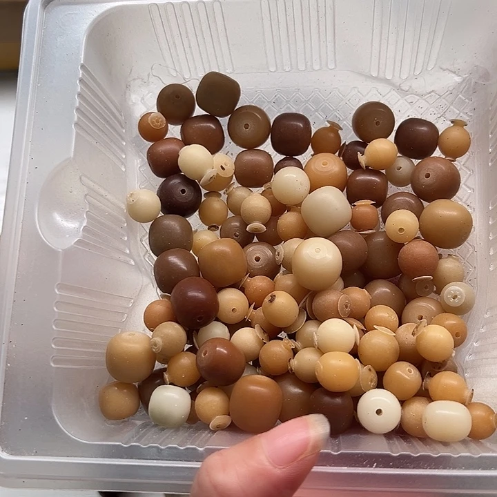 蓝***荷菩提根/象牙果吊坠