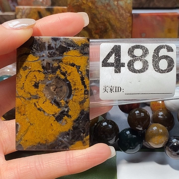 硅化玉未镶嵌天然北票树化玉吊坠