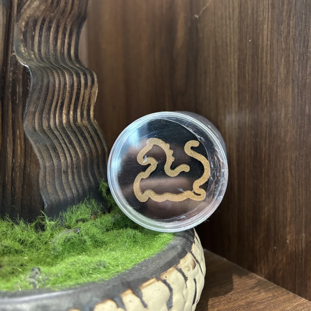 沉香【森海沉香】香福利20片透顶绿沉水板头祥云香（多样性发货一份）