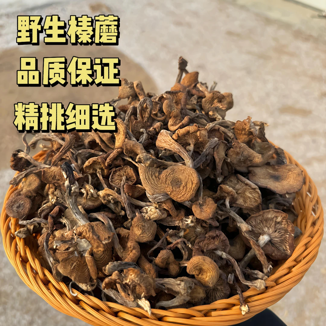 黑龙江特产干磨菇