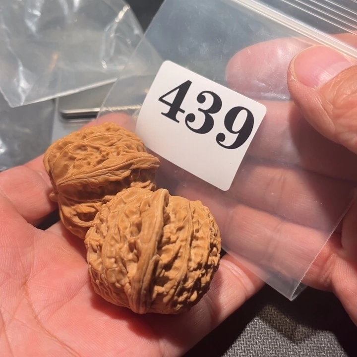 核桃1111111111111111111