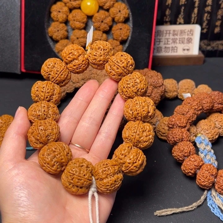金刚菩提手串古龙梅花