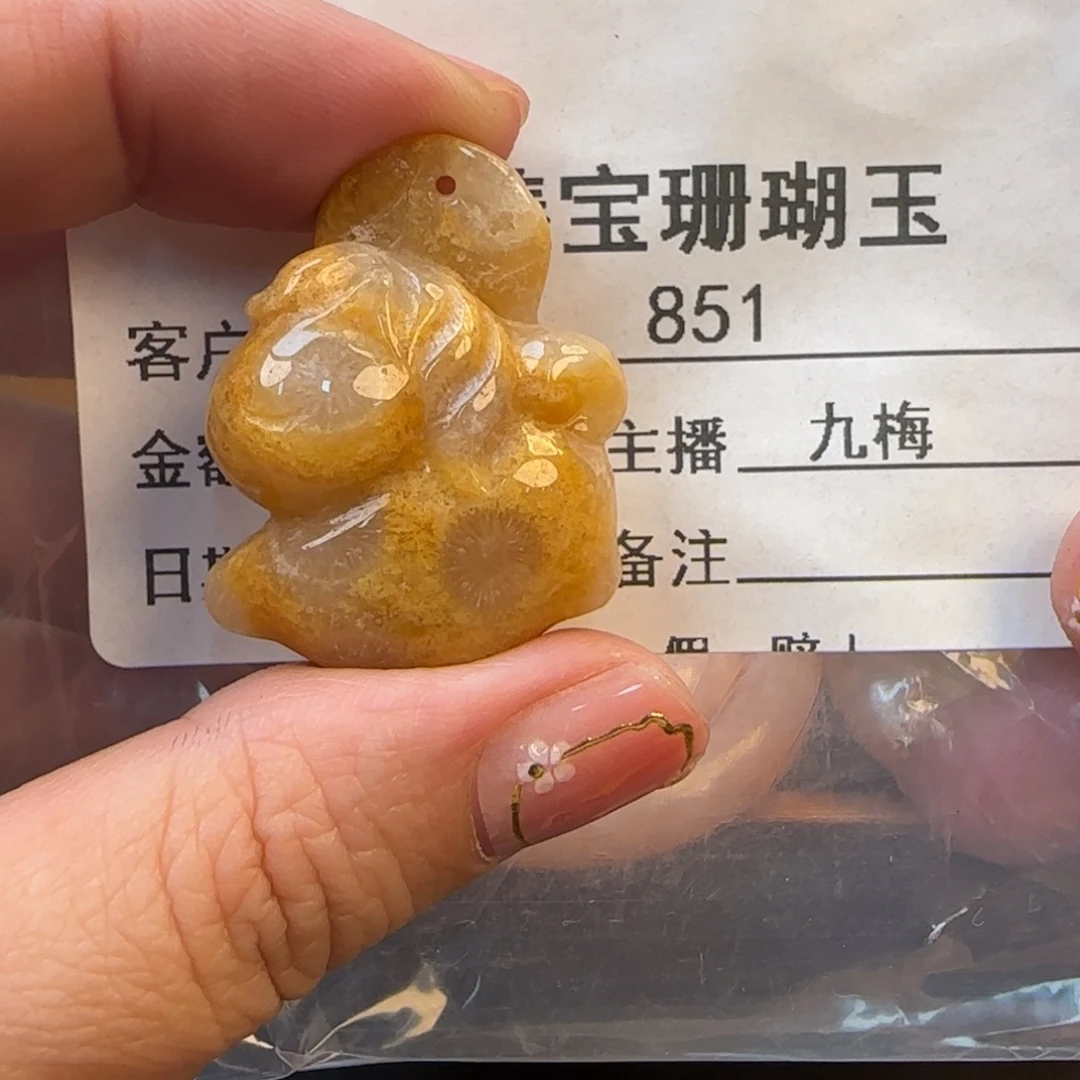 硅化珊瑚（珊瑚玉）未镶嵌颈饰