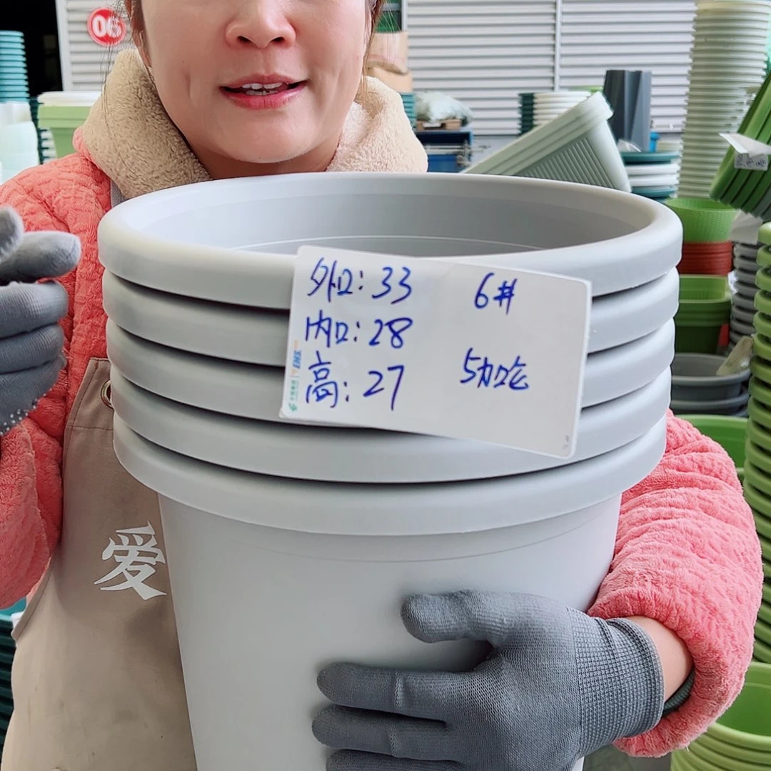 四季盆6#灰白色5个无托