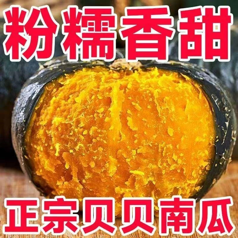 粉糯香甜贝贝南瓜板栗味粗粮宝宝辅食健身代餐到手6个