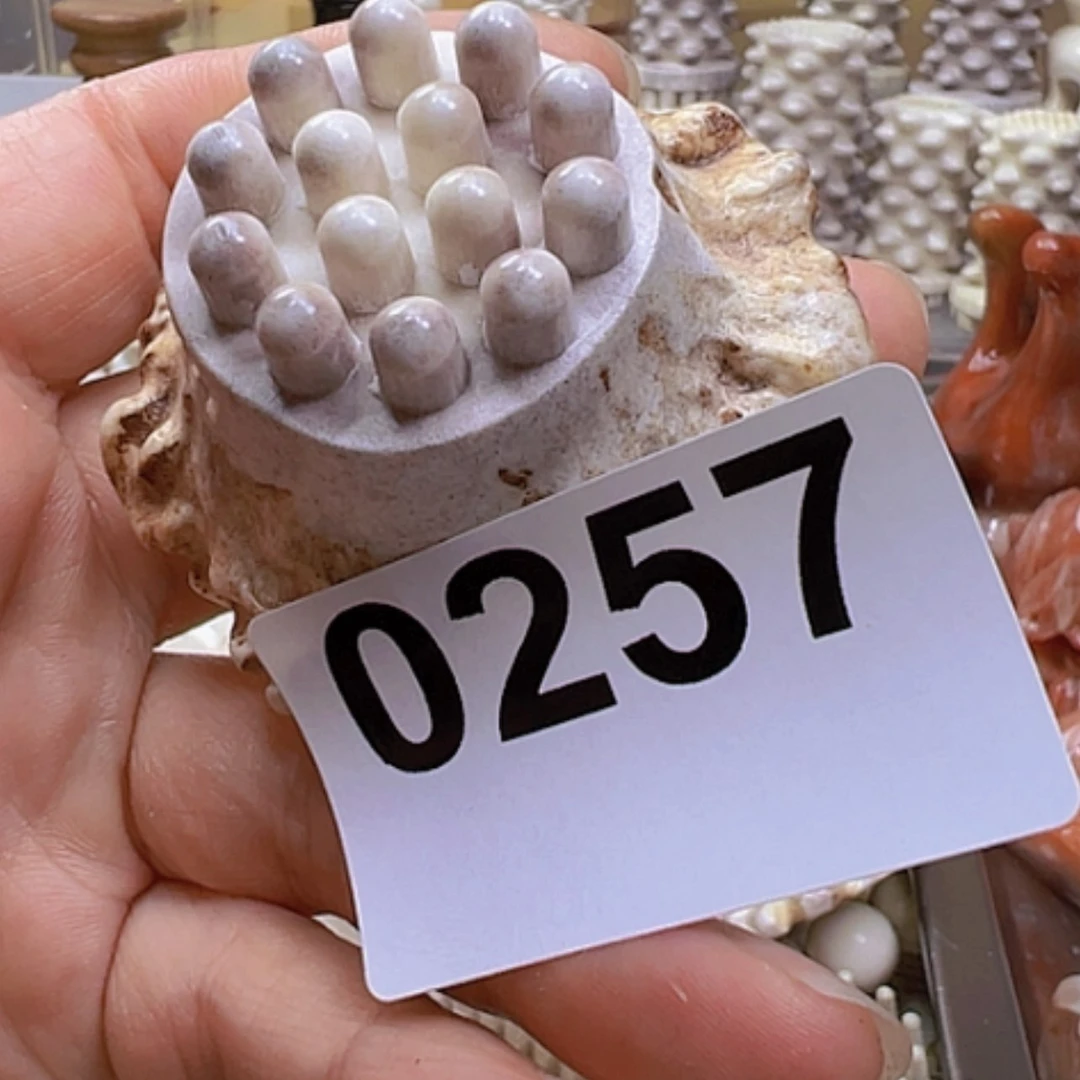 【闪购商品】砖雕鹿角特价处理