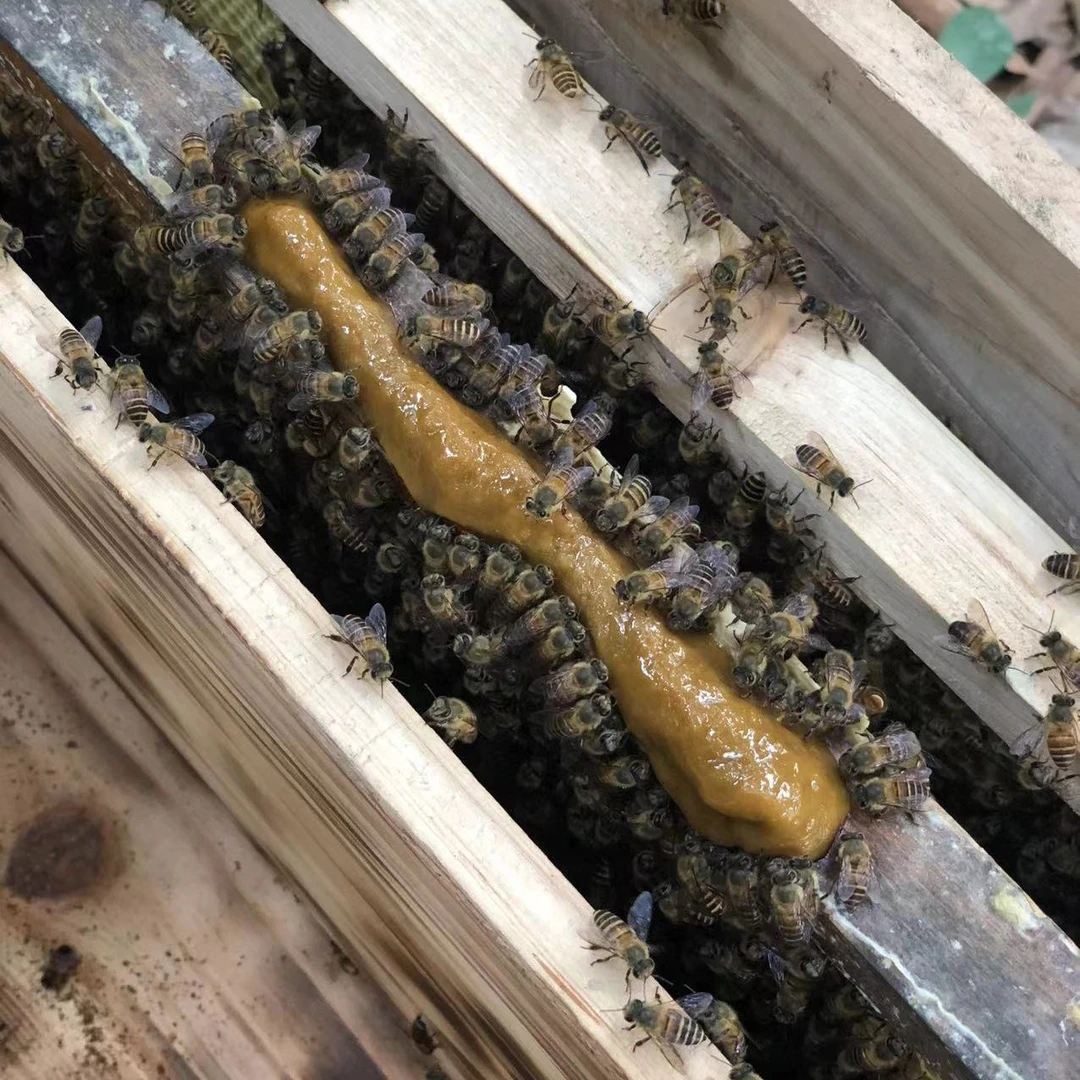 5斤喂蜂口粮花粉糕繁殖蜜蜂用