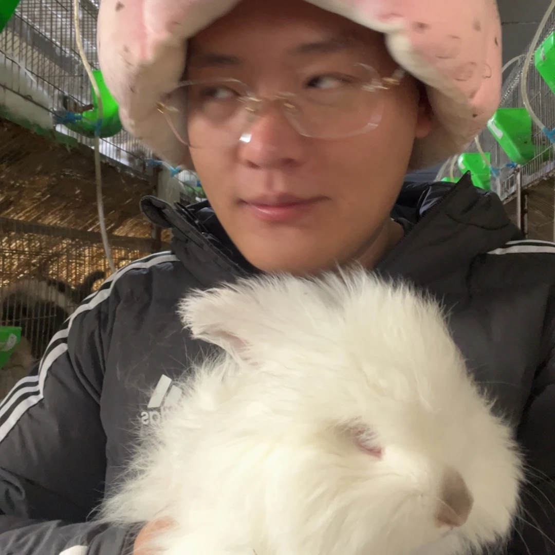 你***桃双血统英系安拉兔子