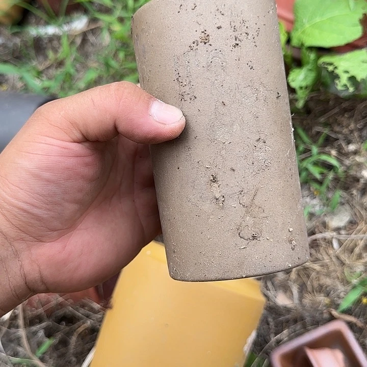 在我这点的都要来接她下班