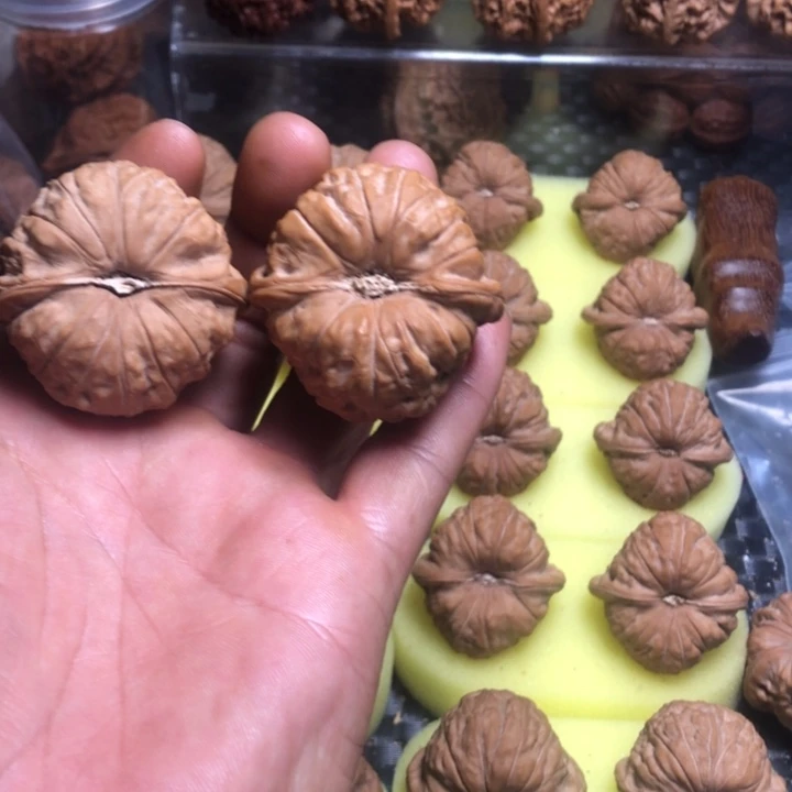 W***洲大叶紫檀（黑酸枝木类）核桃