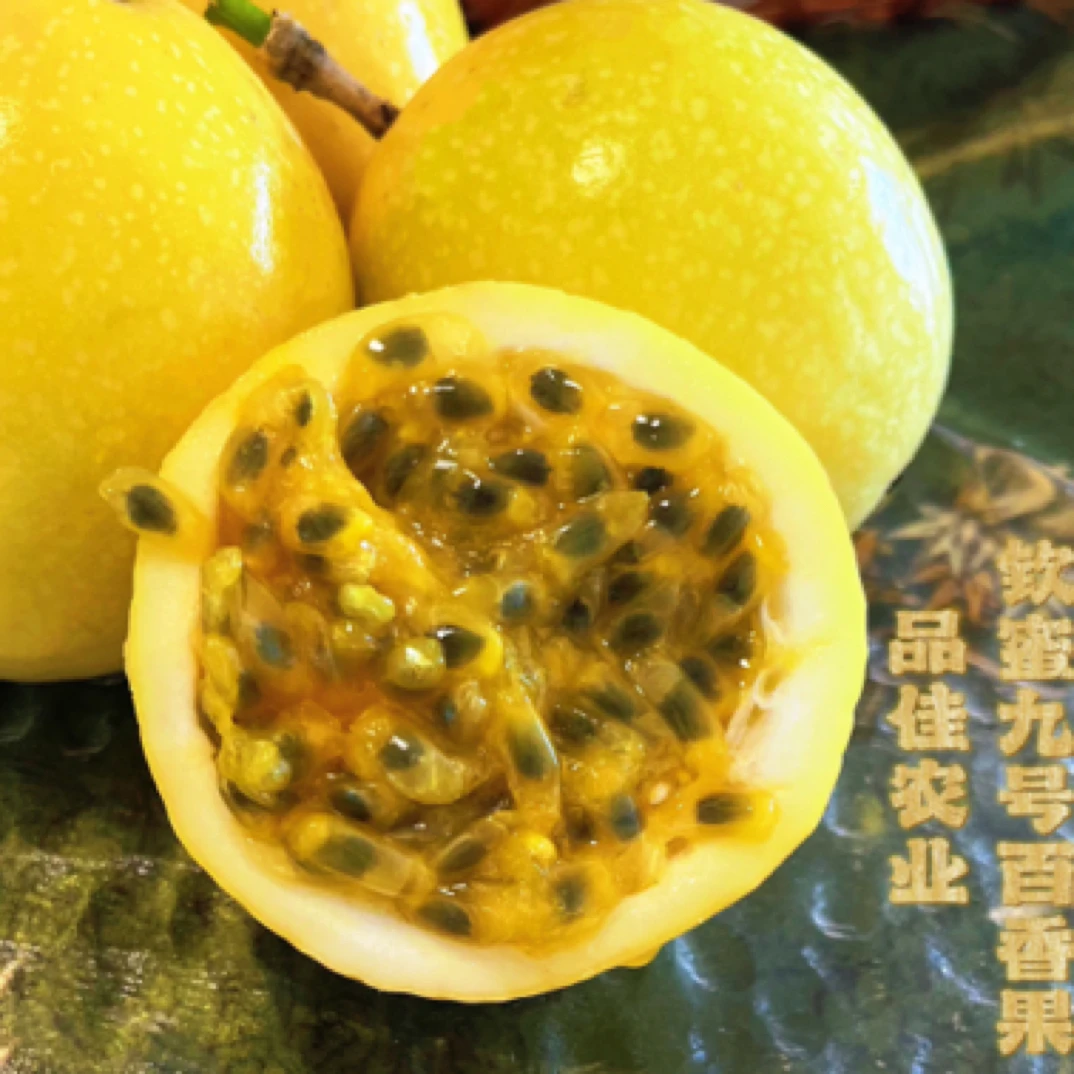 钦蜜9号百香果当季新鲜水果香甜多汁产地直发