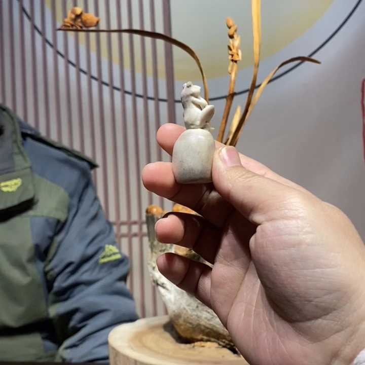 海***石香榧木呱呱来财   鹿角