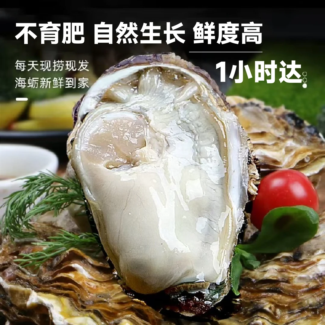 【配送】实惠装5斤正宗青岛海蛎子4x个大肉鲜