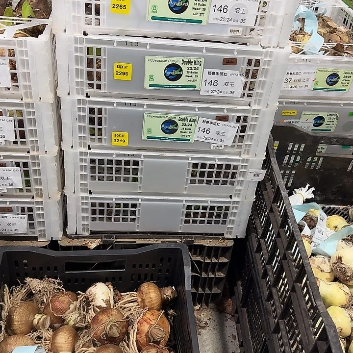 快乐宏伟26/28福利