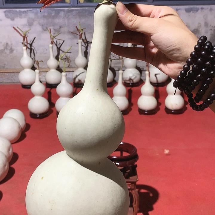 骆***)中号葫芦现货秒杀