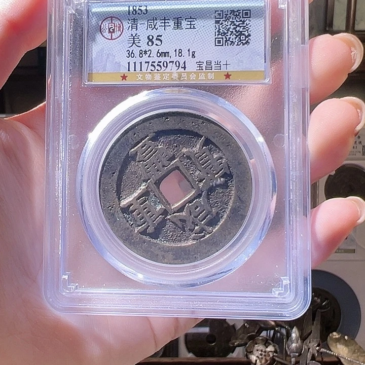 铜蚂***肉咸丰通宝 宝昌当十