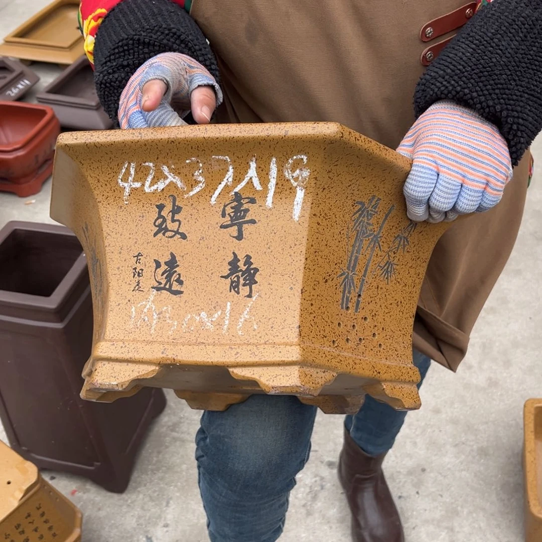 紫砂花盆盆景艺术