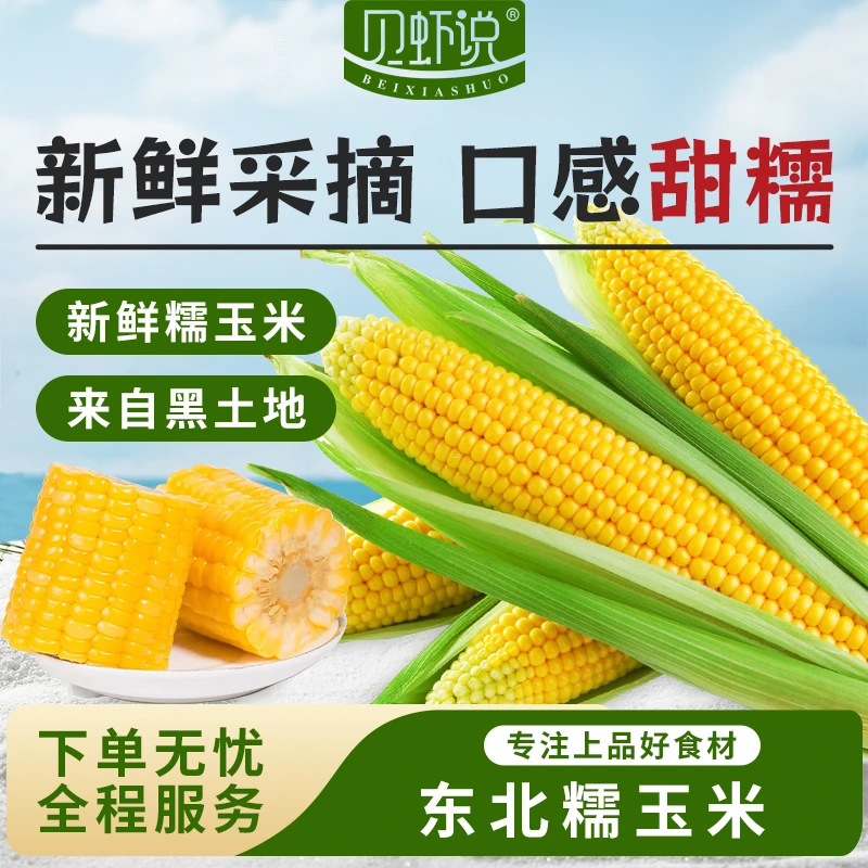 2025年新鲜食玉米 软糯香甜 口感甜糯280-340g/棒