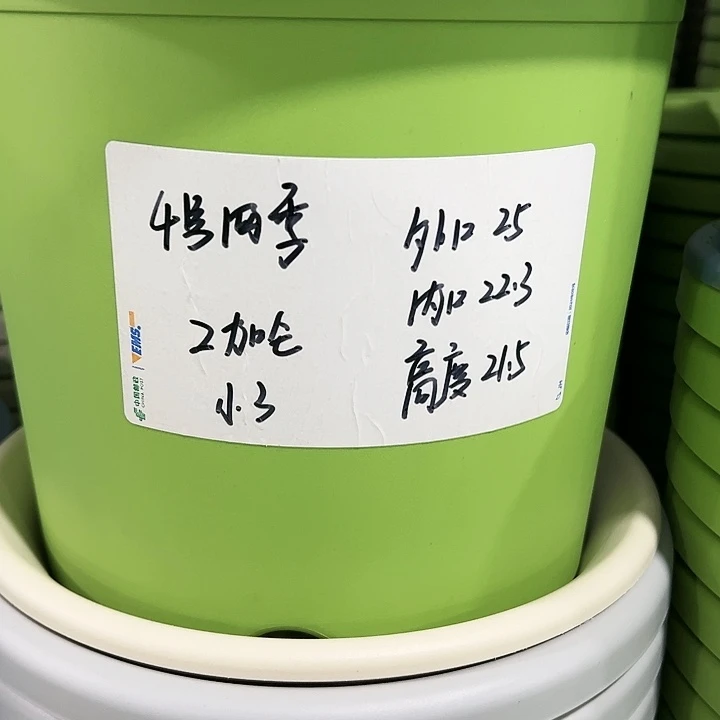 特价4号口25高21.5白色5只无托