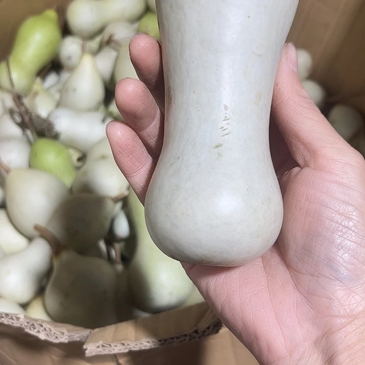 大果紫檀（缅甸花梨）牛*