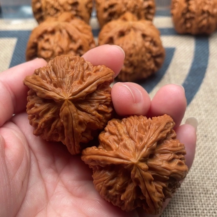 b***y核桃白狮子40核桃