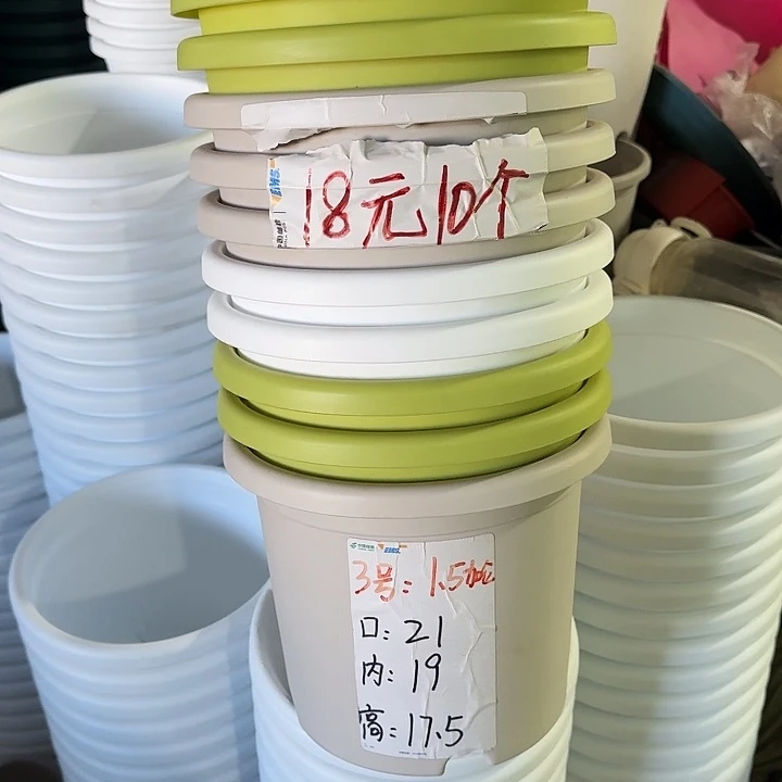 四季3#口径21灰白10个无托