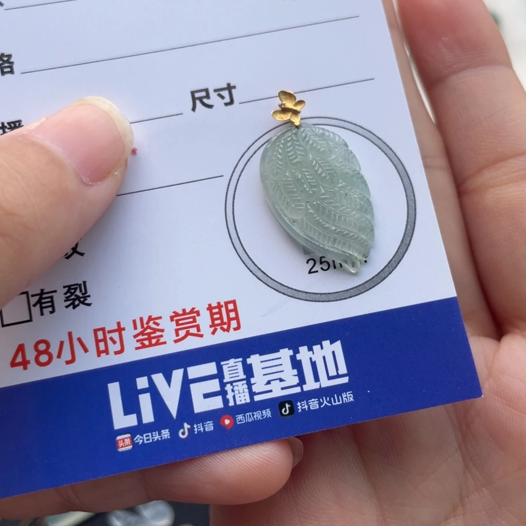 翡翠未镶嵌颈饰金扣翅膀