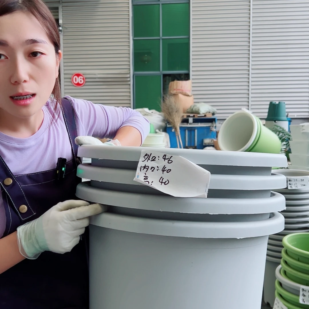 四季盆9#灰白4个无托