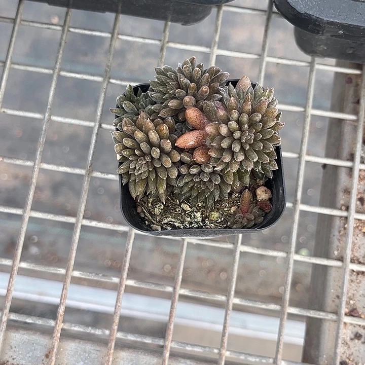 娇***长我也不知道我为什么要