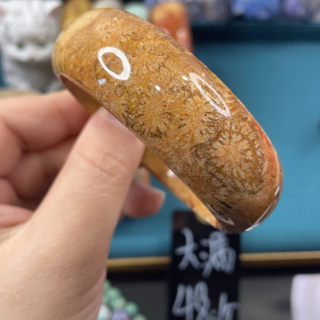 未镶嵌手镯硅化玉