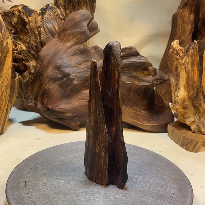 专***.木直播间一物一拍