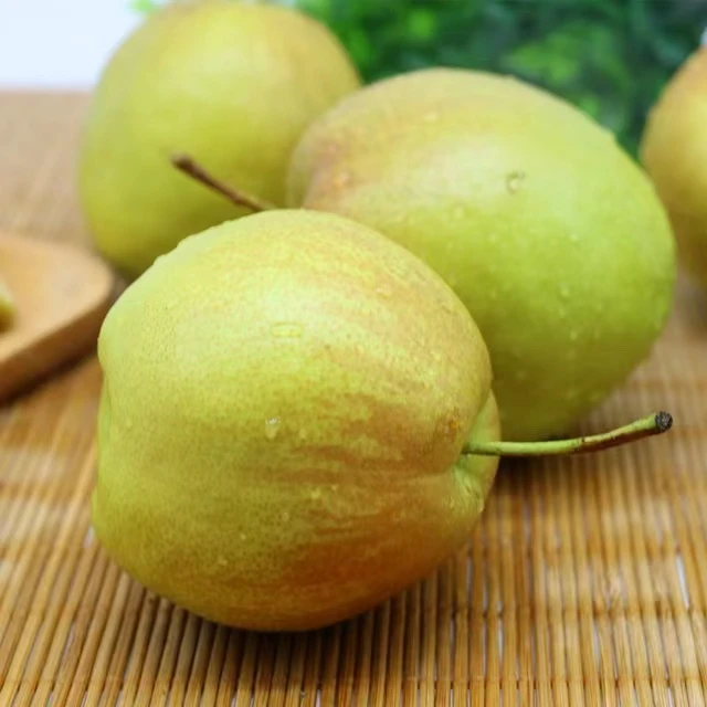 【玉露香梨】正品玉露香梨甜脆多汁皮薄核小甜蜜无渣现摘现发5斤装
