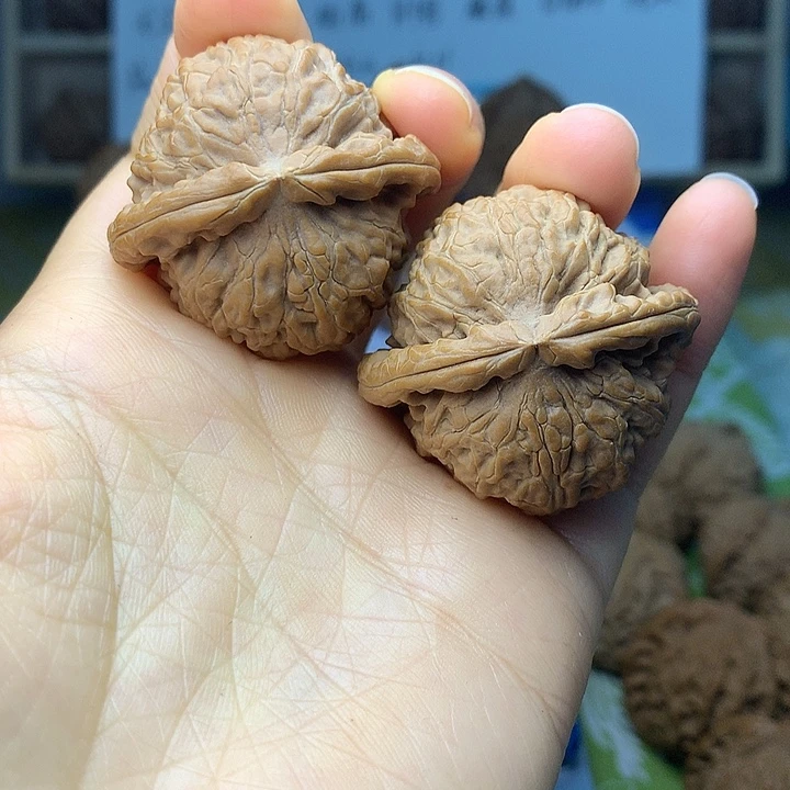 把件文玩核桃白狮子38:+