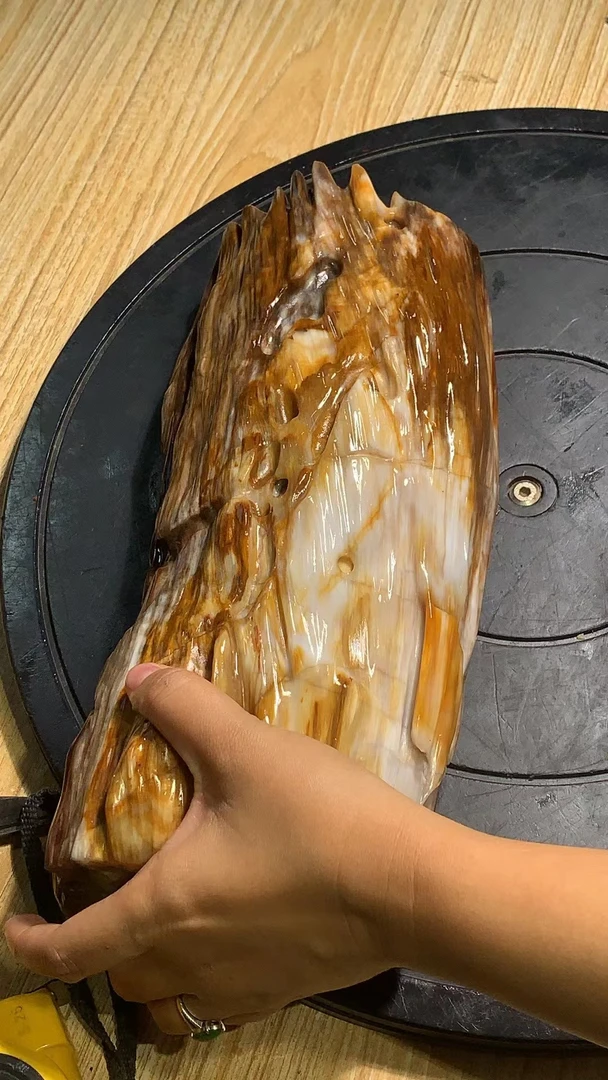 精美树化玉摆件2025119