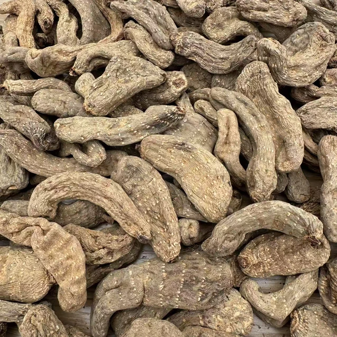 灵灵带你收山货 【乌天麻】