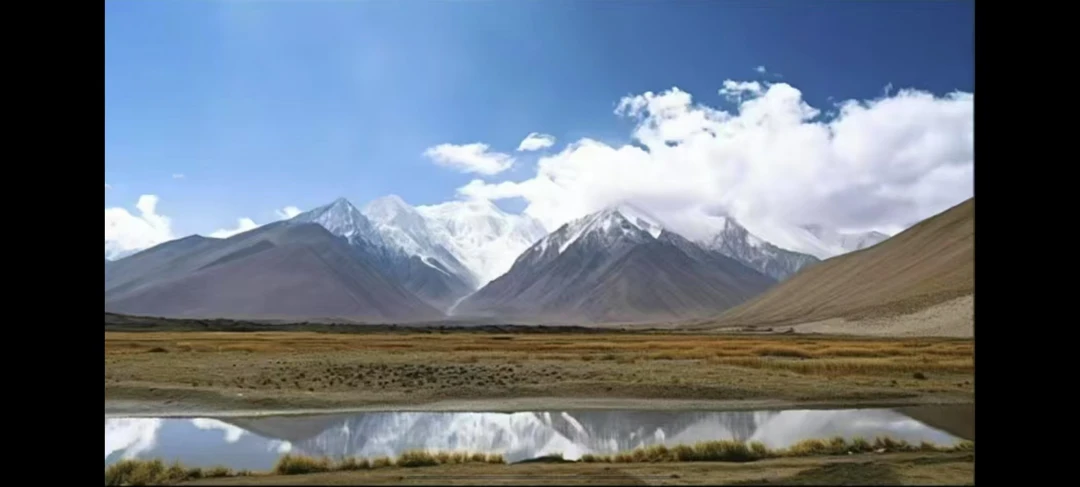 NG/23CM原创私定真皮包1181-F