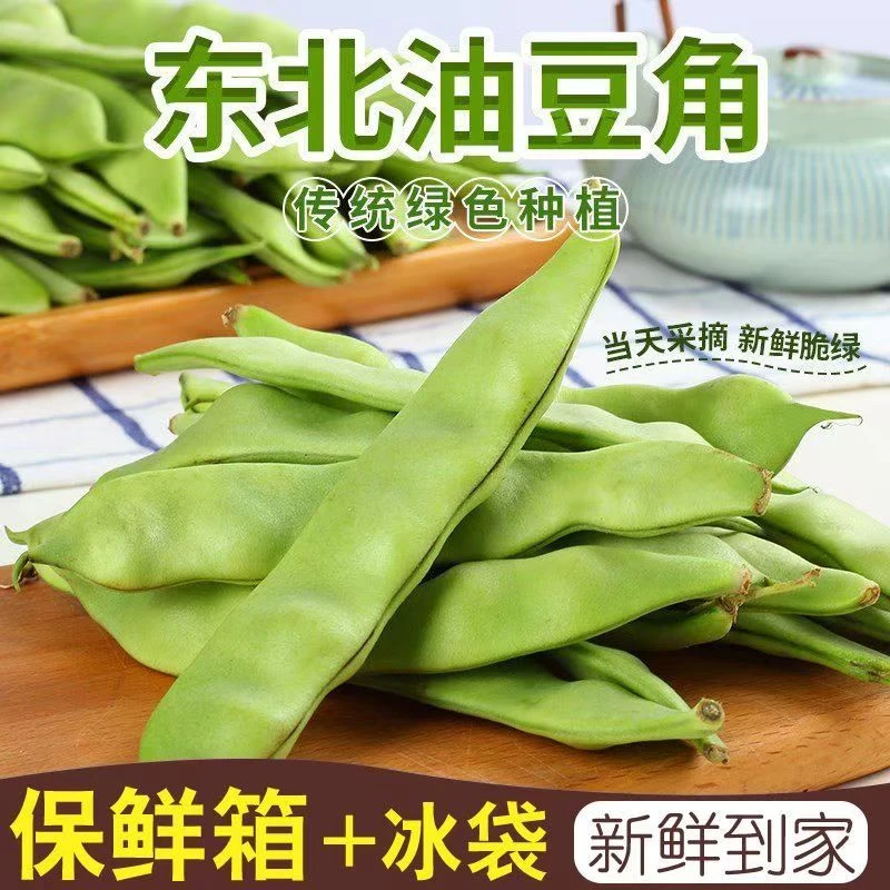 正宗九月青油新鲜美味无筋包邮油豆角新鲜批发东北豆角