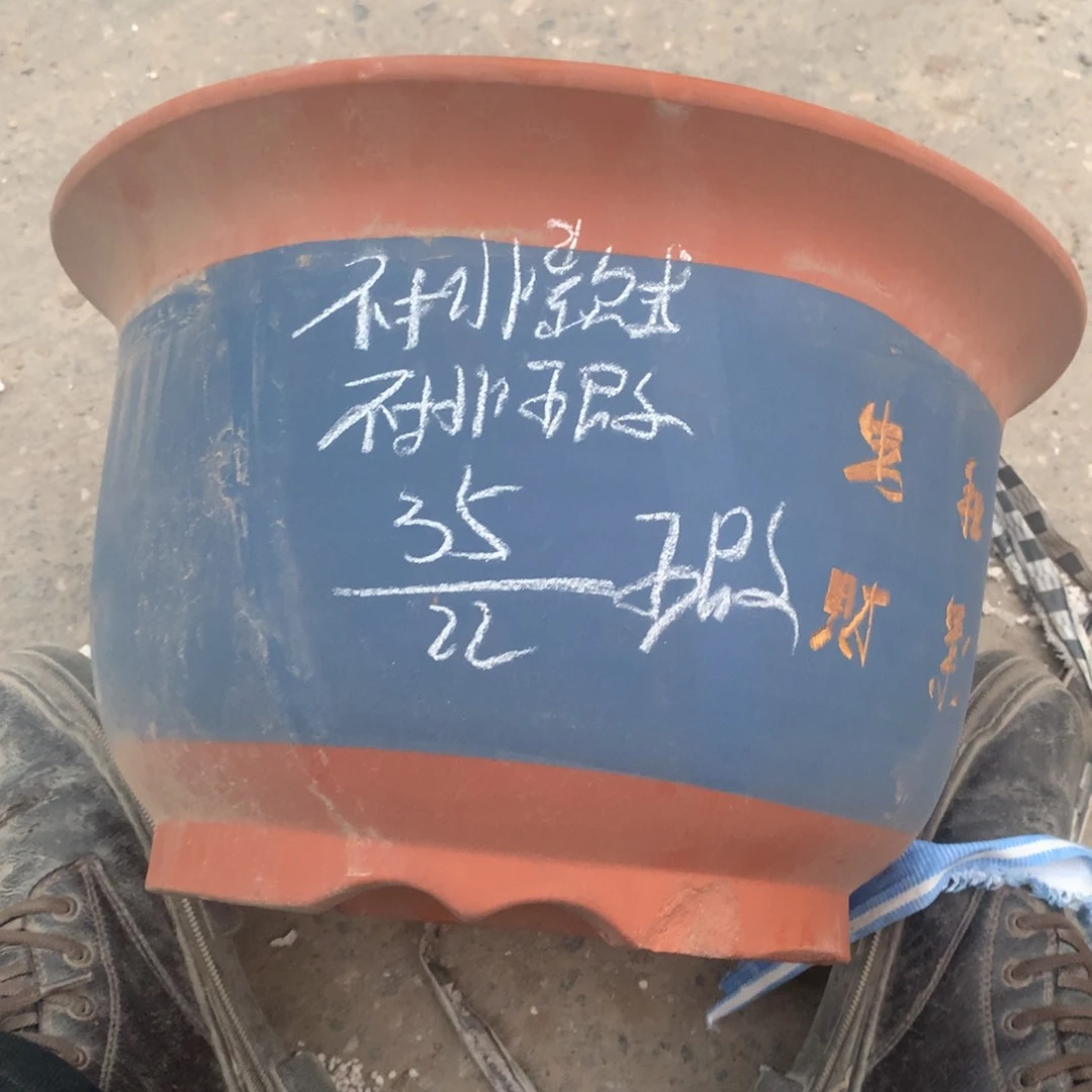 紫砂宜兴紫砂花盆，现货发