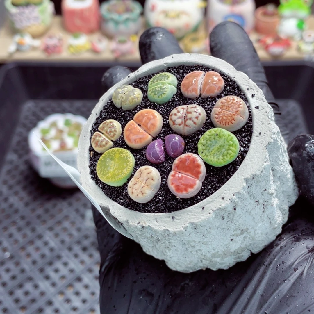 夜间零下地区拍保温箱w3358