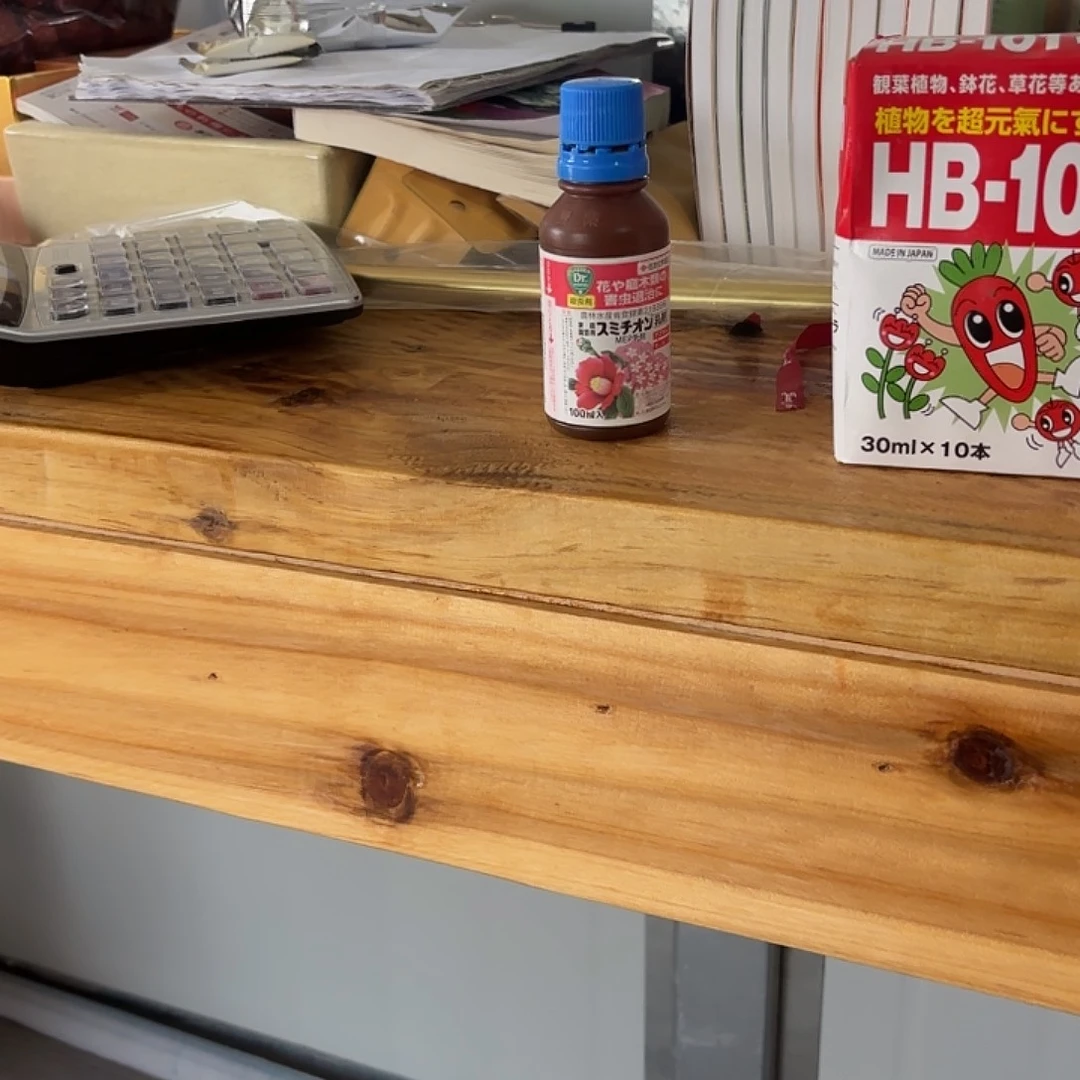 此***景杜鹃杜鹃杜鹃杜鹃杜鹃杜鹃