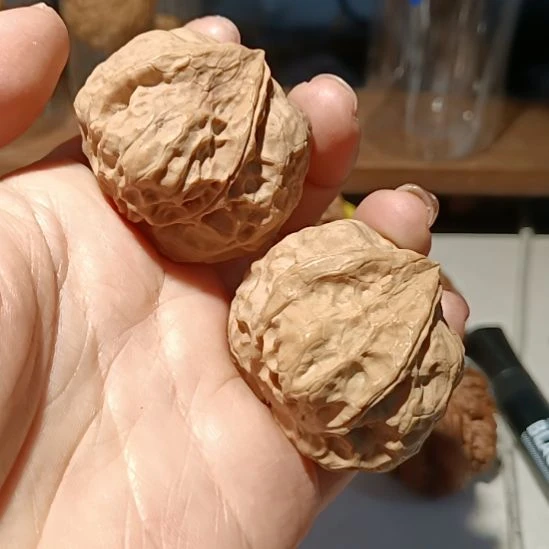 文玩核桃把件66666666666