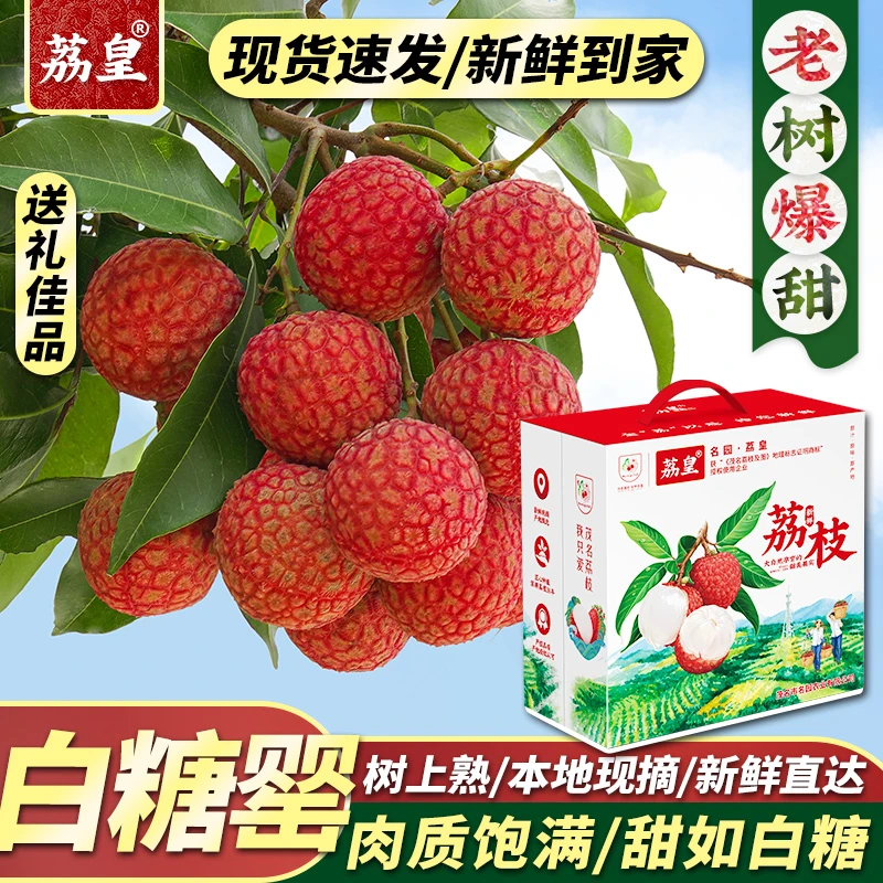 荔皇新鲜现摘白糖罂荔枝广东茂名高州香甜多汁水果LSJ3罗书记
